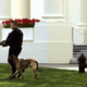 Illustration for article titled Why The Secret Service Needs An $8 Million Scale White House Replica